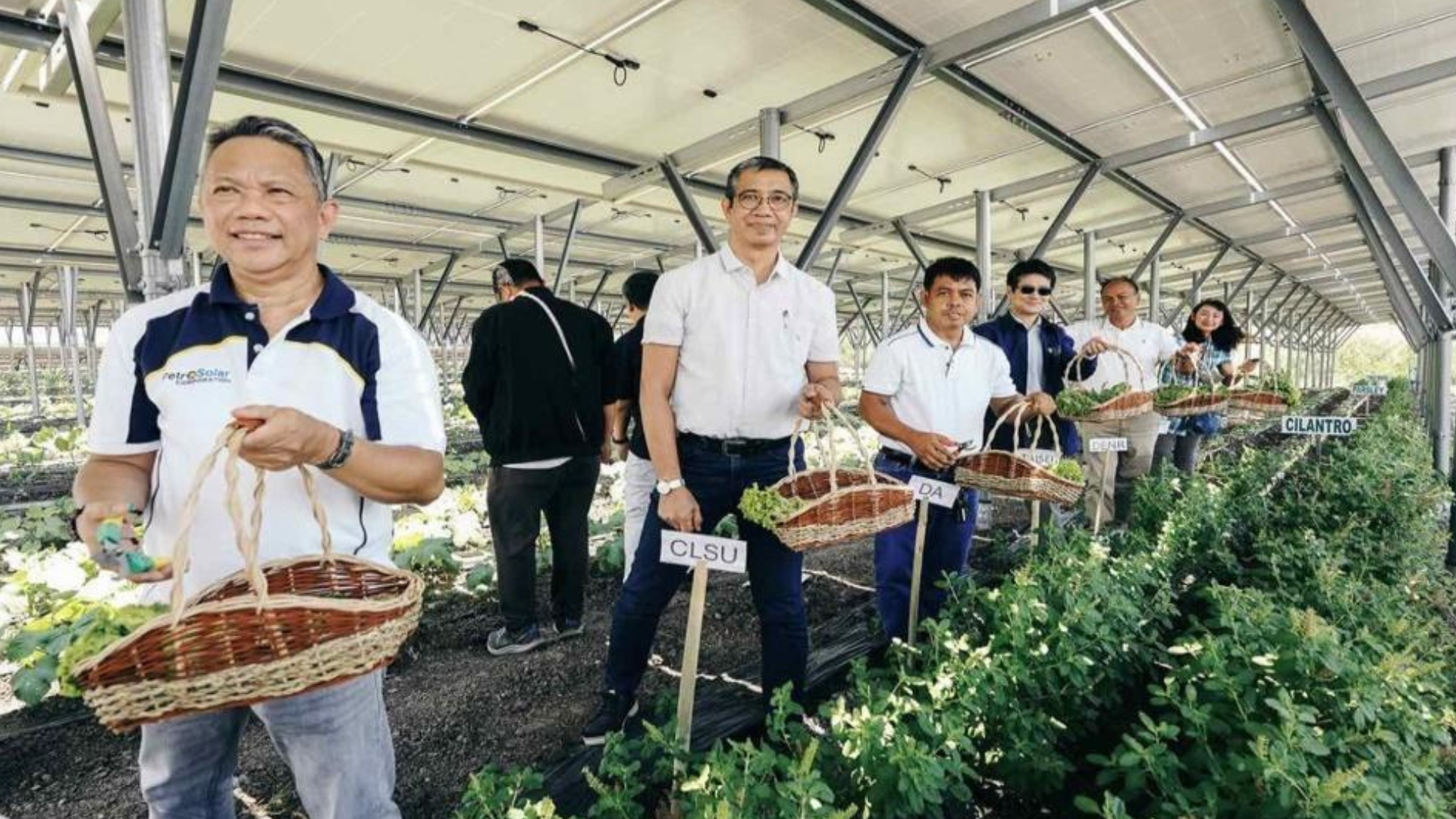 Rizal Green Energy Debuts Agrovoltaics in San Jose, Nueva Ecija