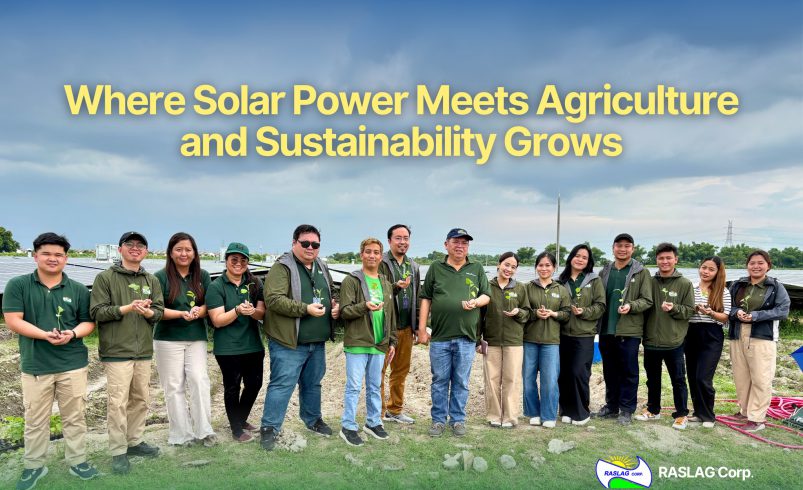 Raslag Launches Agrivoltaic Farming Initiative to Merge Clean Energy with Sustainable Agriculture
