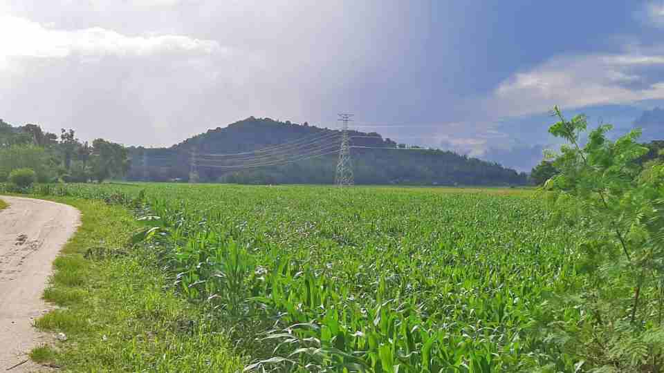 Iloilo’s first major ground-mount solar plant breaks ground