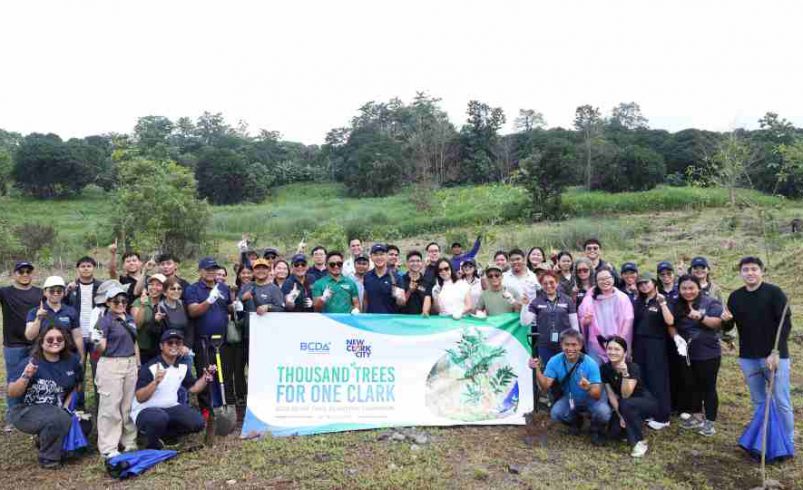 811 trees planted so far in BCDA’s Smart City site