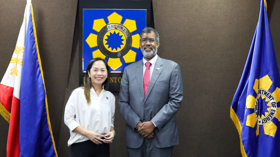 NEA Backs PH Nuclear Push, Sees New Reactors Possible by 2030s