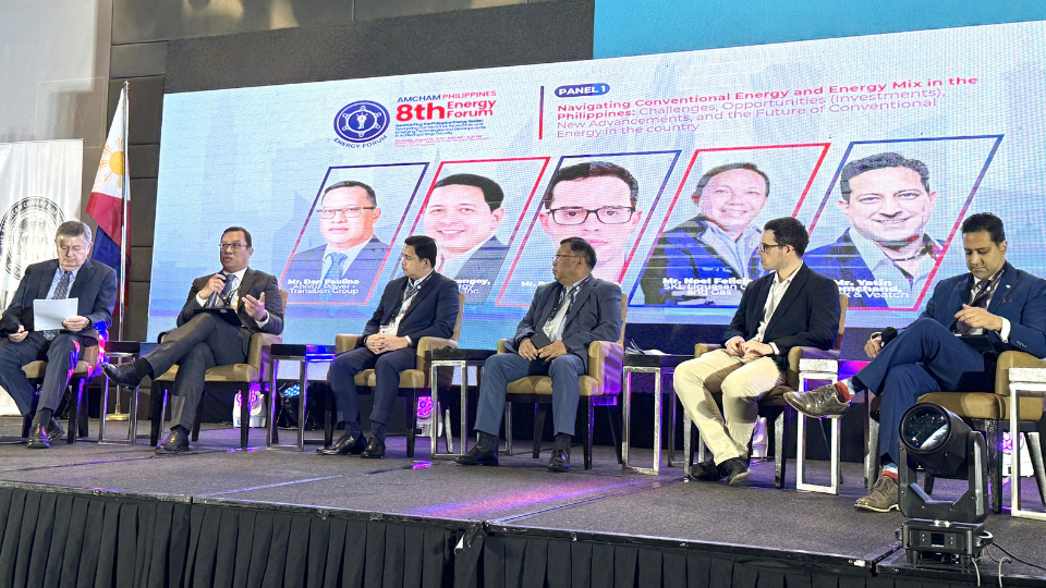 Conventional plants still vital in PH energy shift –AboitizPower exec