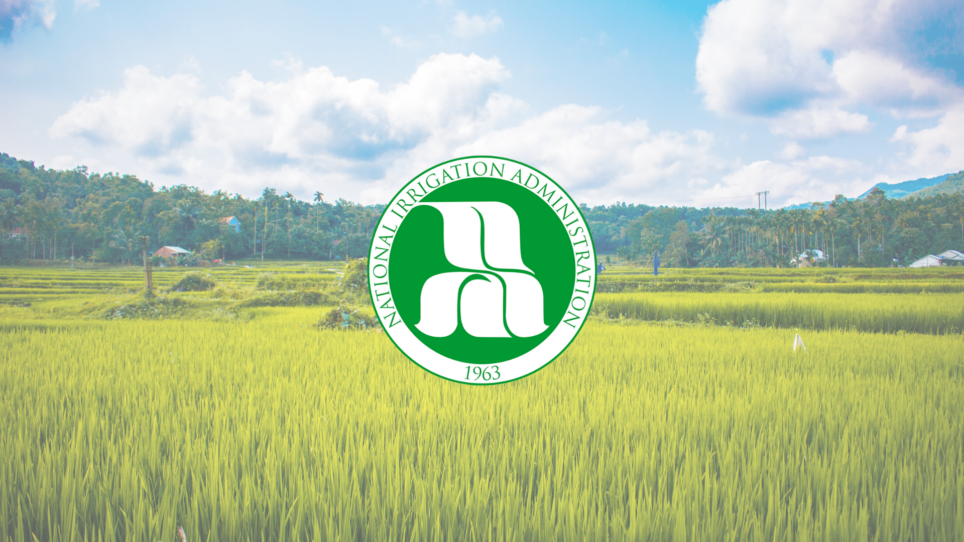 NIA Launches Region VIII’s Largest Solar Irrigation System, Serving 92 Farming Families