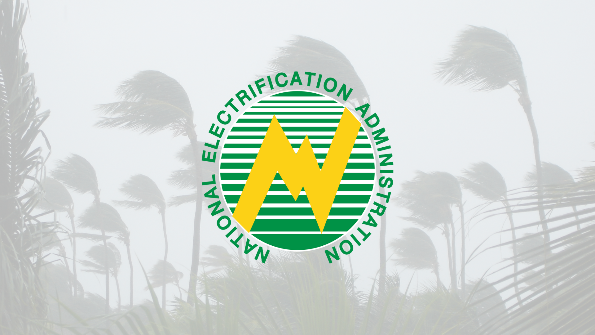 Typhoon Nando Cuts Power across 22 Provinces, 3 Co-ops Fully Down