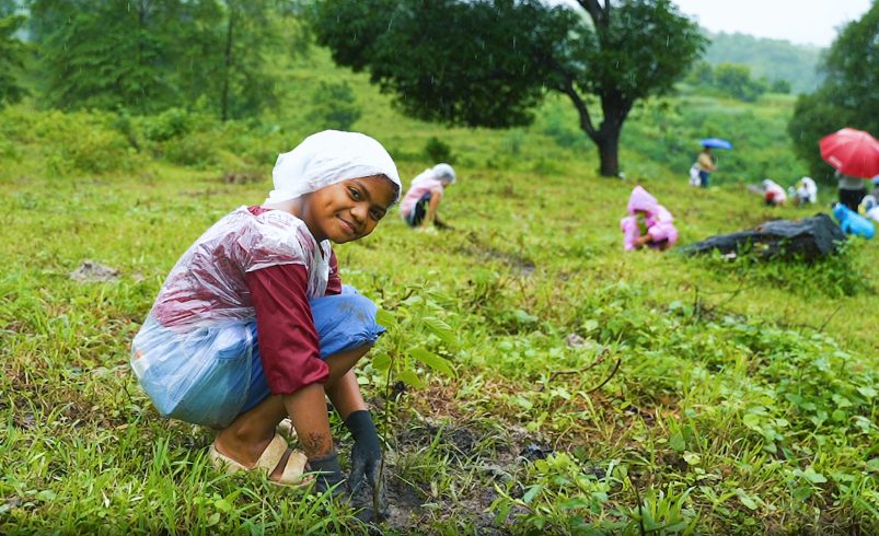 1,700 Seedlings Planted in Prime Infra’s New Sustainability Program
