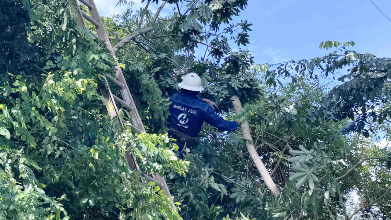 Meralco trims trees in Talim Island to boost power reliability