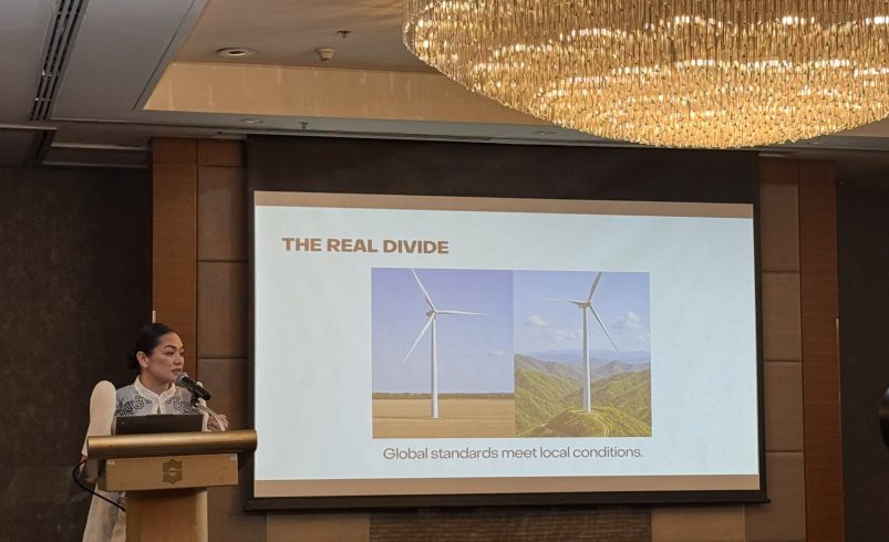 Most expensive mistakes begin in the cheapest phase of wind projects –Philsurv exec