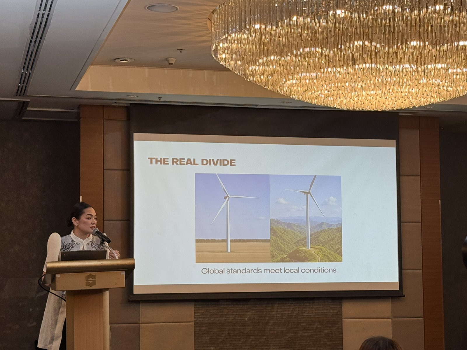 Most expensive mistakes begin in the cheapest phase of wind projects –Philsurv exec
