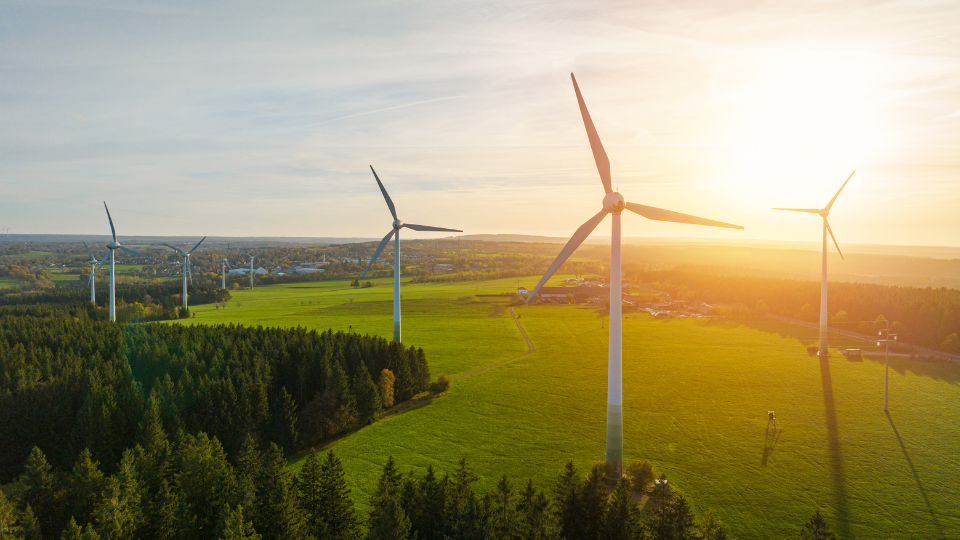 ERC clears Aboitiz-led 206-MW wind project’s grid link, flags Visayas transmission limits